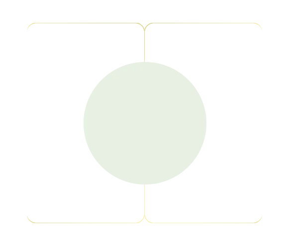 Decorative Divider Line