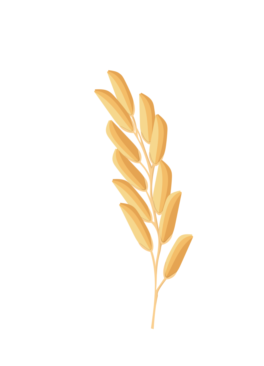 Yashomati%20Grains